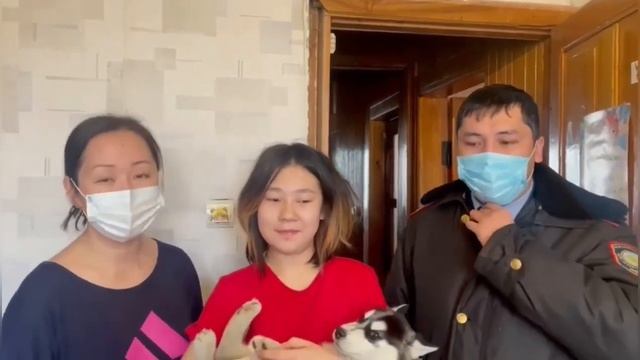 Пропавшую собаку вернули хозяевам полицейские Шымкента смотреть онлайн