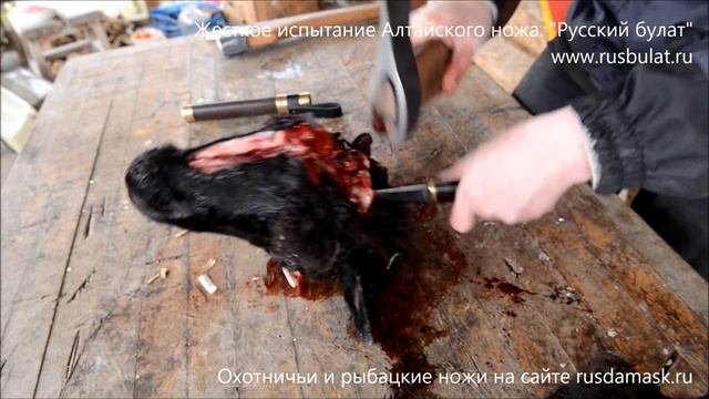 Жесткое испытание Алтайского ножа. Авторский композит. Компания Русский булат. Обзор ножа. Тест смотреть онлайн