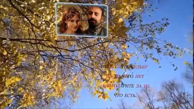 ОЧЕНЬ КРАСИВАЯ ПЕСНЯ,,БЕРЕЗА БЕЛАЯ"--ГАЛИНА ДУДЗЕНКО,СИМА ЖУРАВЛЕВА И ДУЭТ ,,ТИХАЯ ГАВАНЬ" смотреть онлайн