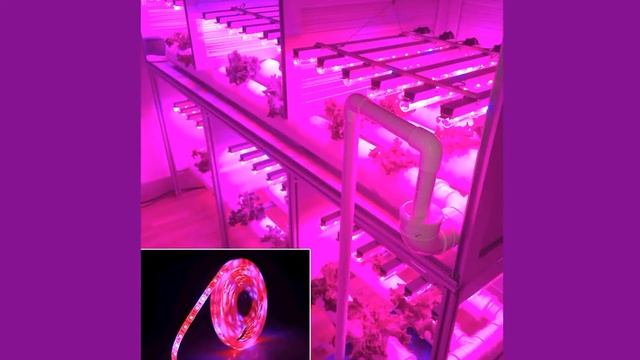 светодиодные ленты для растений купить на алиэкспресс смотреть онлайн
