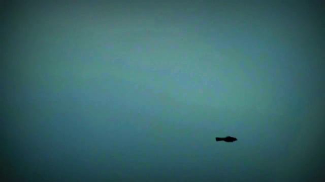 Cъёмка на видеокамеру Sony HDR-SR11E 100кадр\сек смотреть онлайн