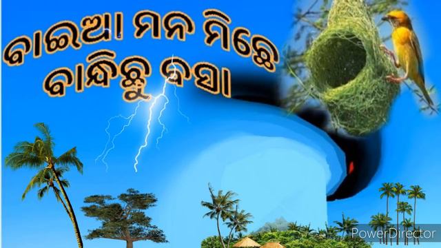 Baia mana michhe bandhichhu asha, Devotional bhajan, papular song, смотреть онлайн