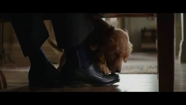 Собачья жизнь (2017) - У меня был мальчик, и его звали Итан (1/10) | КИНОМиг смотреть онлайн