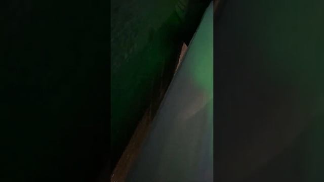 Звук при трогании с места шкода рапид. Что за звук, подскажите пожалуйста смотреть онлайн