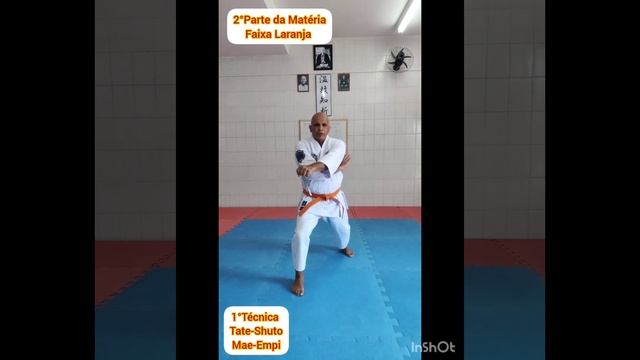 #Tutorial Matéria para Exame de Faixa Laranja 4°Kyu #kihon #karate #shotokan смотреть онлайн