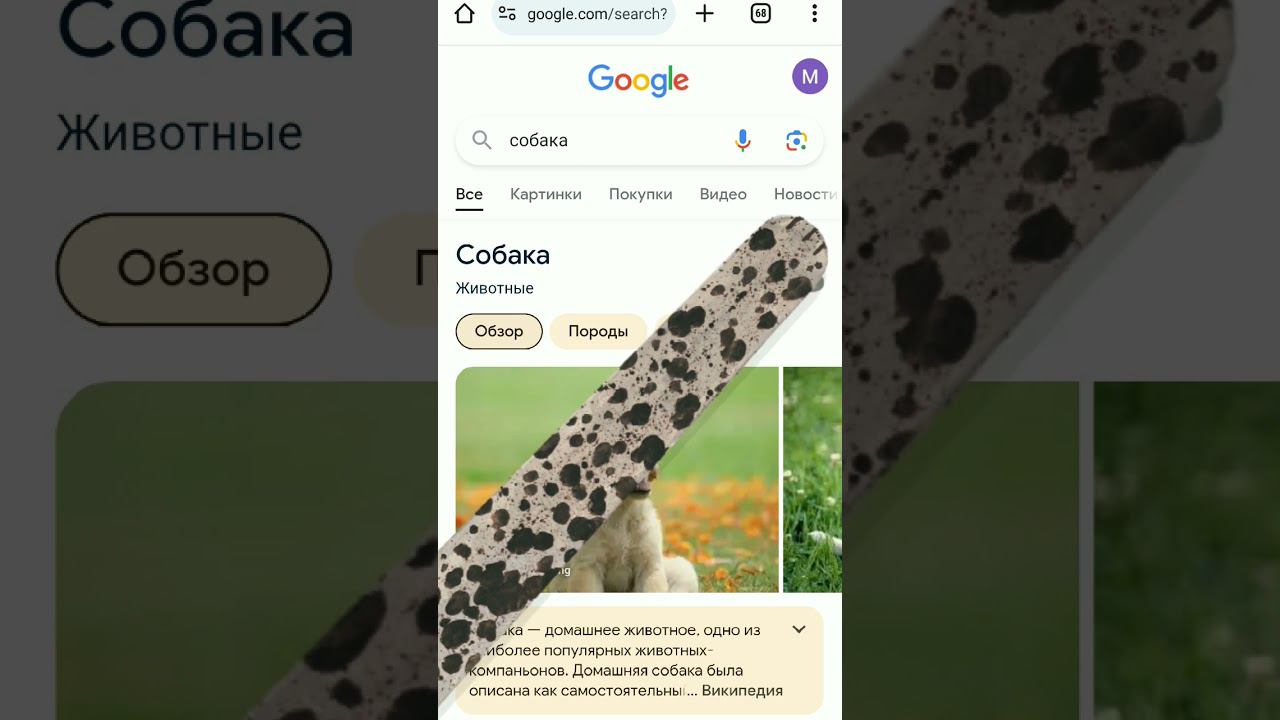 как включить собачку место милой? смотреть онлайн
