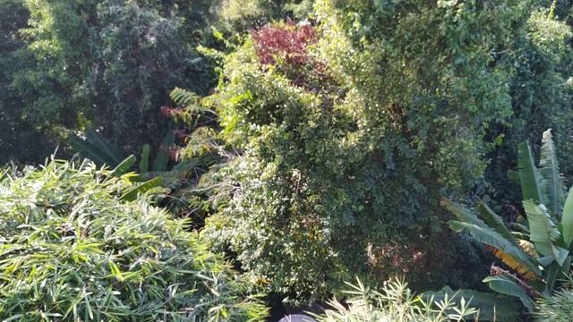 Обзорная Панва. Phuket. Panwa. 2019 смотреть онлайн