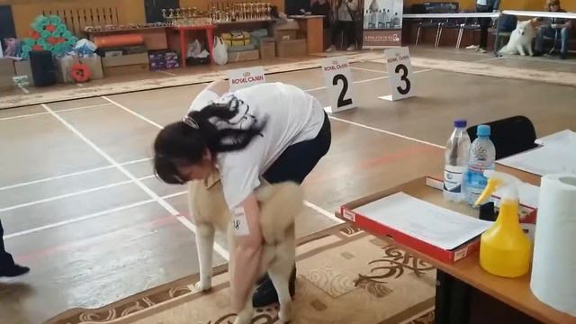 Уфа 29.04.17 смотреть онлайн