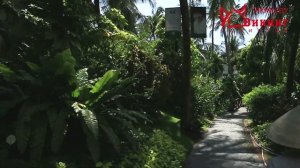 Обзор отеля Бамбу Виладж (Bamboo Village 4*). Отдых в Фантхиете, Вьетнам