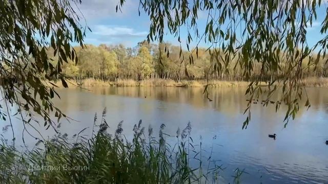 Старые грехи. Аудио рассказ смотреть онлайн