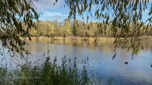 Старые грехи. Аудио рассказ