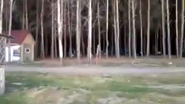 Корнеевка, зона отдыха "Сосновый бор" смотреть онлайн