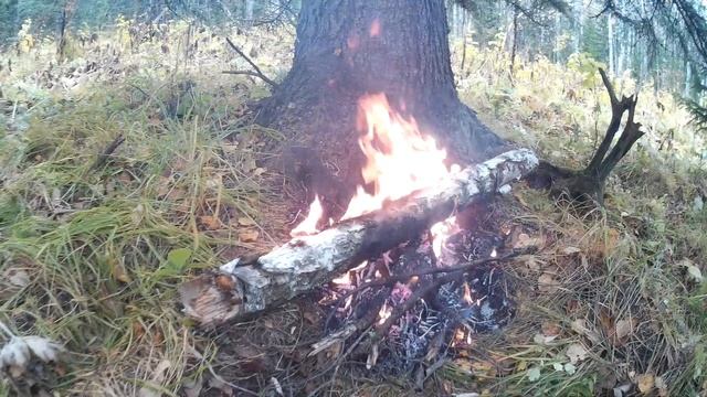 22.09.2021. ОПЯТА. Снег и дождик в лесу. У КОСТРА под ёлкой. смотреть онлайн