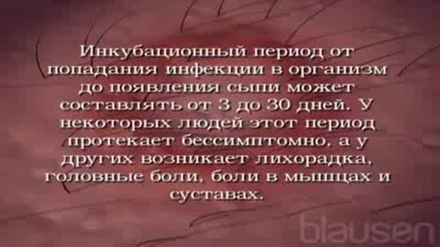 Клещевой боррелиоз (болезнь Лайма)