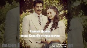 Коляша Долёба  песня Королёк птичка певчая