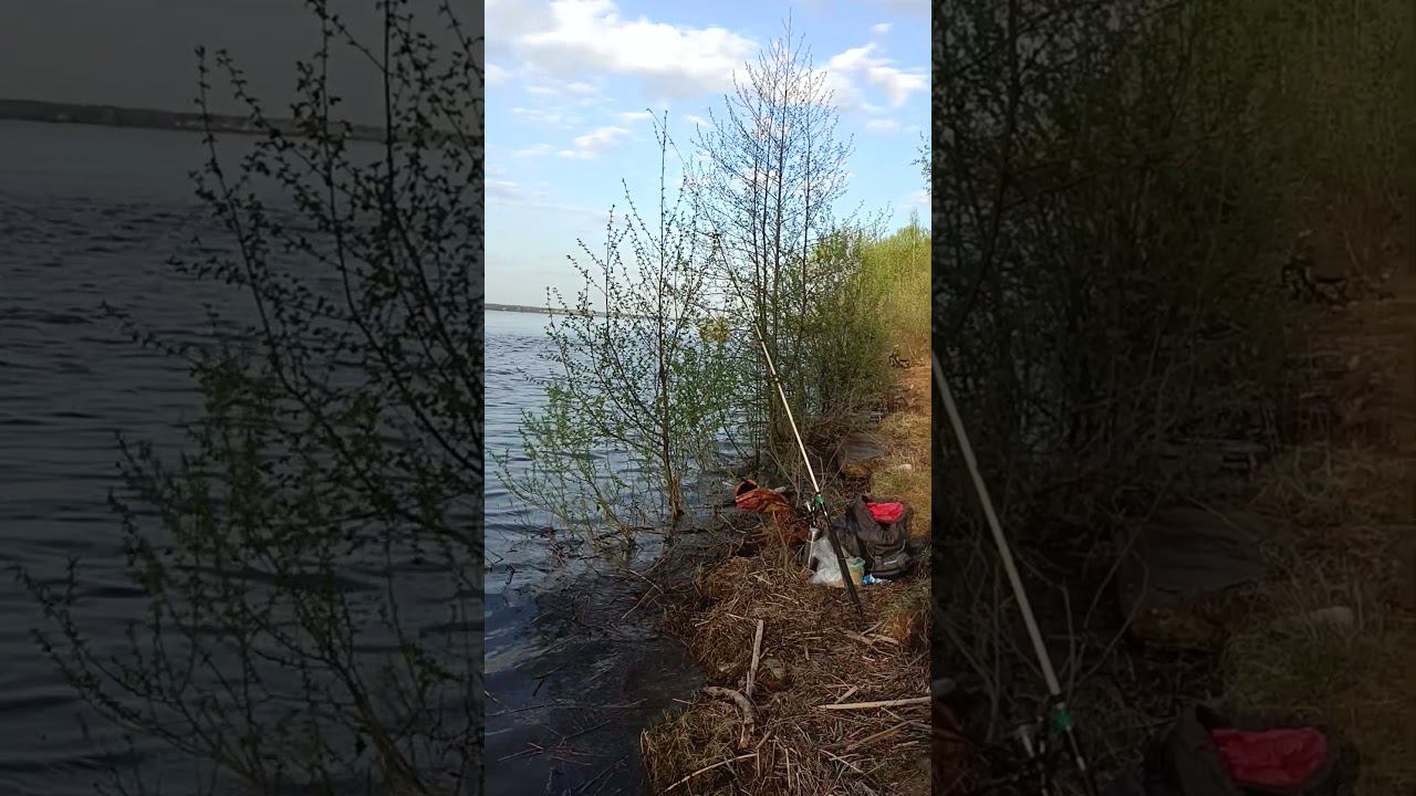 27 апреля 2024 г. смотреть онлайн