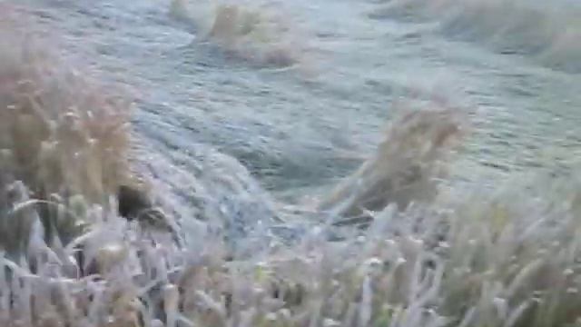 Знаки на полях краснодара смотреть онлайн