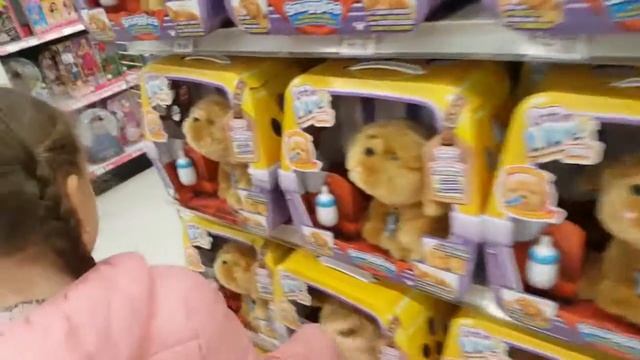 Магазин игрушек Toys R Us в Канаде. Британская Колумбия.