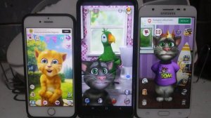 Talking Ginger 2 Echo VS Talking Pierre Echo VS Talking Tom Cat 2 Echo 456
