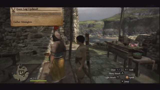 Dragon's Dogma - Floral Delivery Walktrough смотреть онлайн