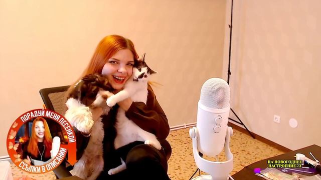 Дружелюбная собачка Барни и самодостаточный кот Саймон ☺️ смотреть онлайн
