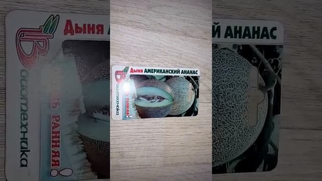 Дыня Американский ананас, очень ранняя, ознакомление с семенами смотреть онлайн
