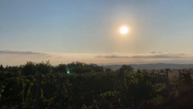 Sunrise in Kavadarci, Macedonia смотреть онлайн