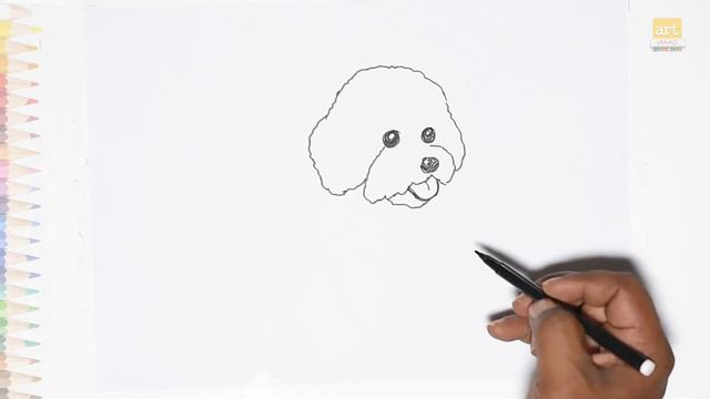 Bichon Frise puppy drawing easy 02 |How to draw Bichon Frise breed dog step by step|Outline drawing смотреть онлайн