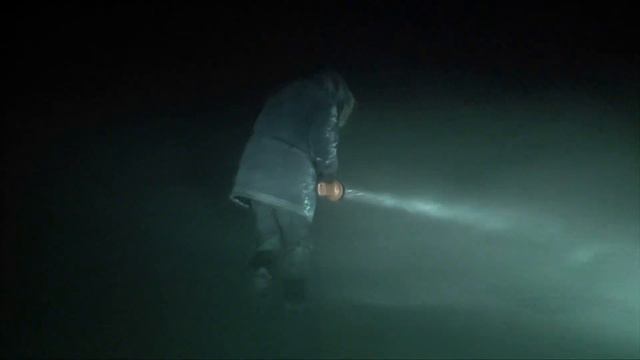 Девочка спасенная собакой/A stray dog saved a child's life смотреть онлайн