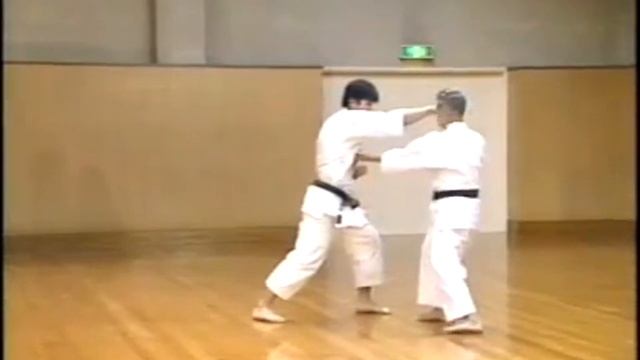 Вадо-рю каратэ.Wado ryu Karate.Kihon kumite #6 смотреть онлайн