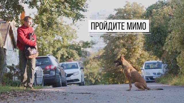 Энциклопедия безопасности. Нападение собаки смотреть онлайн