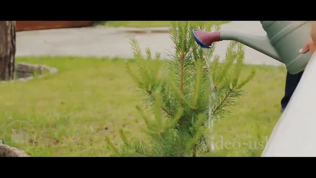 Коптер мероприятия (Пример портфолио 4) смотреть онлайн