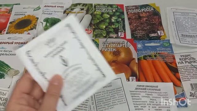 Накупила СЕМЕНА ОВОЩЕЙ ЦВЕТОВ НА ДАЧНЫЙ СЕЗОН 2022 #купилизаброшеннуюдачу смотреть онлайн