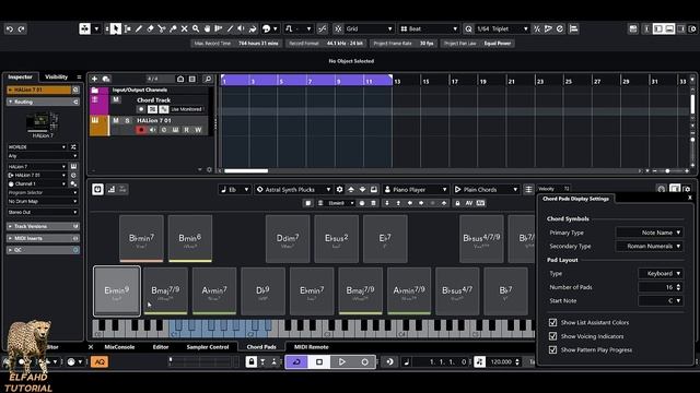 Chord Pads In Cubase 13 Pro#cubase#cubase13#musicproducer#musicproduction