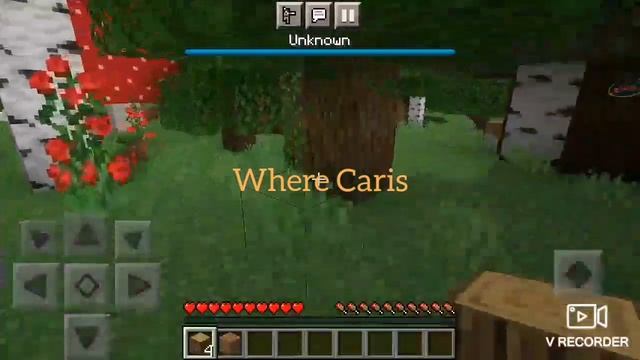 Never Join Minecraft 666 Exe Caris At 3AM In This Null смотреть онлайн