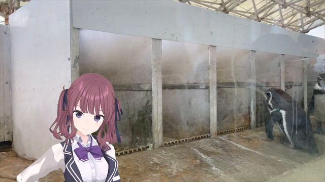 旅ログ 絶景 Vtuber 城崎 グルメ 堪能 смотреть онлайн