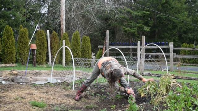 Gardening with Prasarita Podottanasa смотреть онлайн