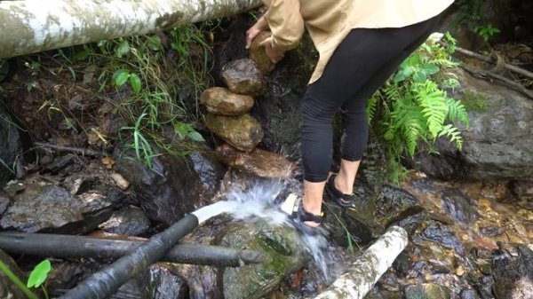 Full Video 90 Day BUILD CABIN, Make wooden furniture, Vegetable garden | Free Bushcraft