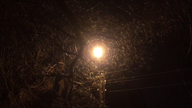 Дождливое настроение. Харьков 22.12.2015 смотреть онлайн