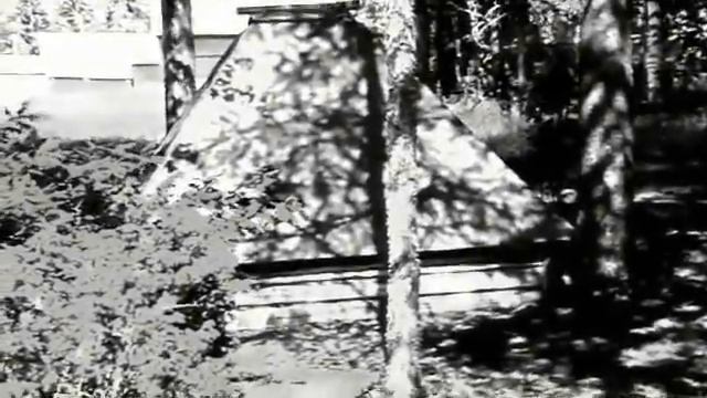 Njutånger - Pea Vine blues смотреть онлайн
