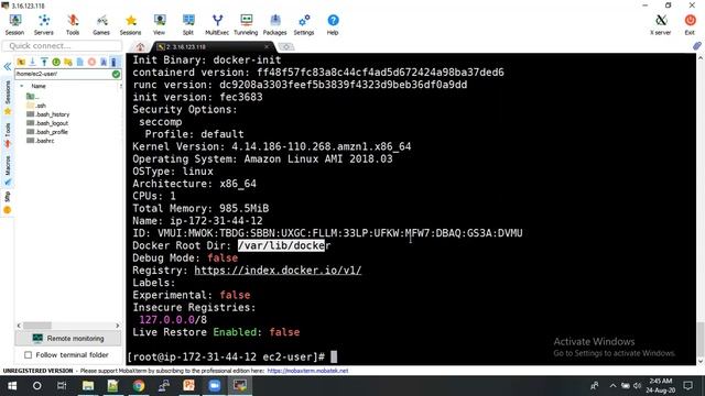 Docker installation on Amazon Linux смотреть онлайн