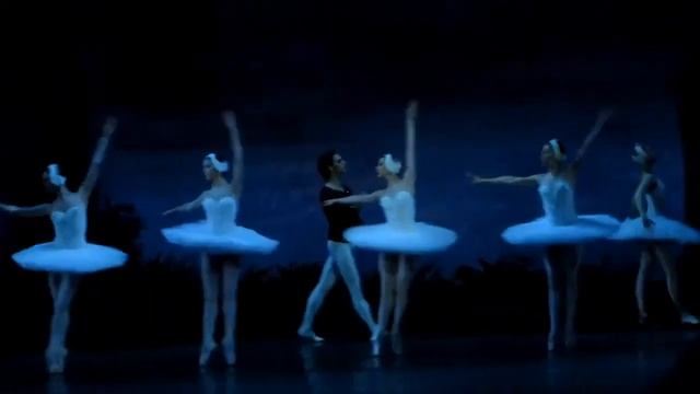 SWAN LAKE // Sergei Polunin / Natalia Somova (February 8, 2014) Incomplete