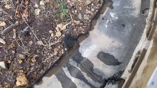 Задний бампер Форд фокус 3 седан смотреть онлайн