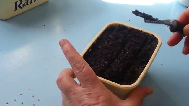 Бабушкин сектрет смотреть онлайн