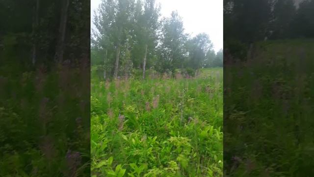Россия! смотреть онлайн