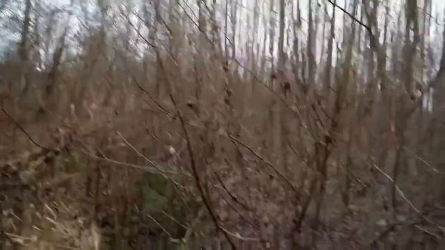 Плетение двуручной корзины..часть 1...В поисках ивовых прутьев...) К реке... смотреть онлайн