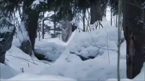 Анатолий Днепров Прописано сердце по адресу Русь