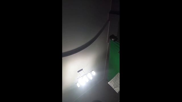 лев ваномас восхищается львицей кариной смотреть онлайн