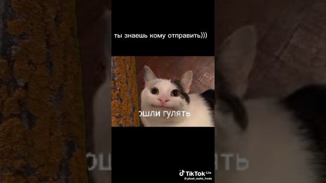 пошли гулять
