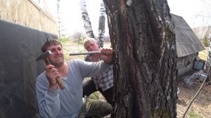 ПАСЕКА НА СВЯЗИ | В ГОСТЯХ У КОСТИ И ИЛЬИ